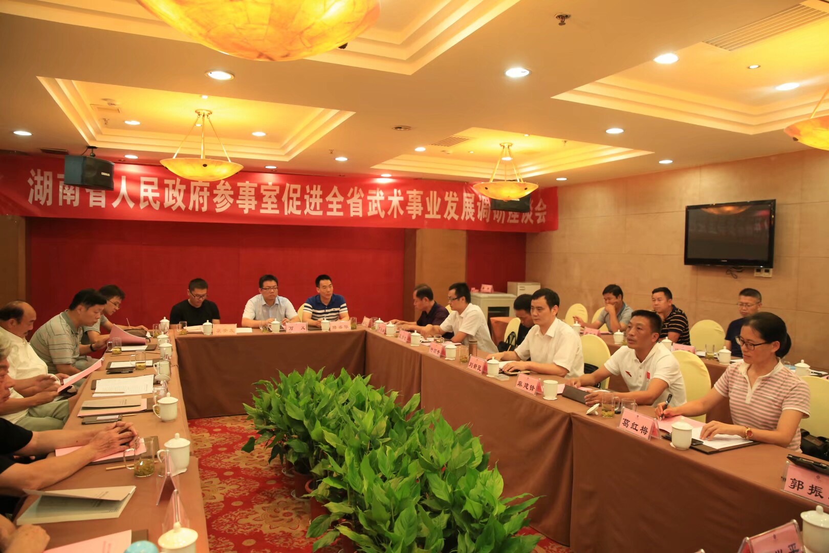 湖南省人民政府参事室促进全省武术事业发展调研座谈会中