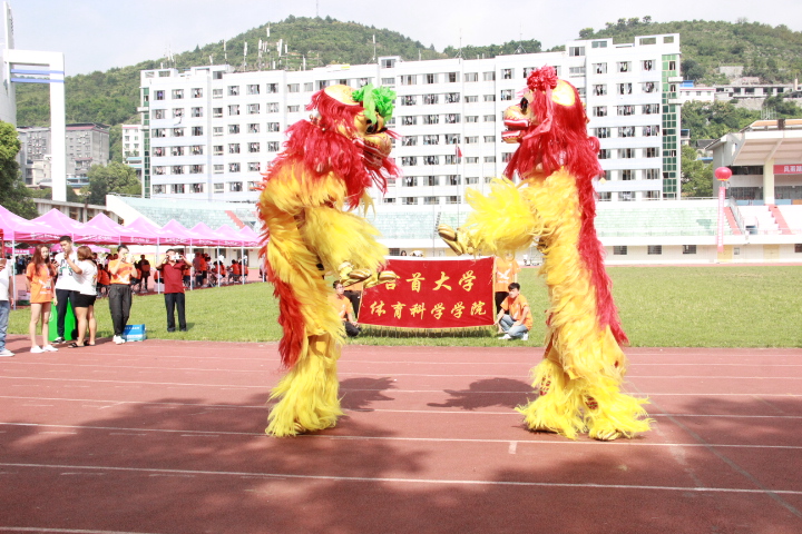 图为舞龙舞狮表演(陈宝玉摄)